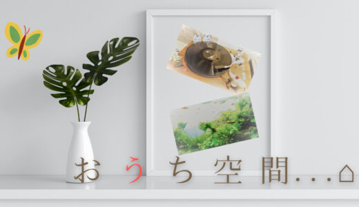 音樹（のんき）の“おうち空間”